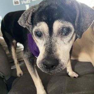 Meet your Posher, Carley